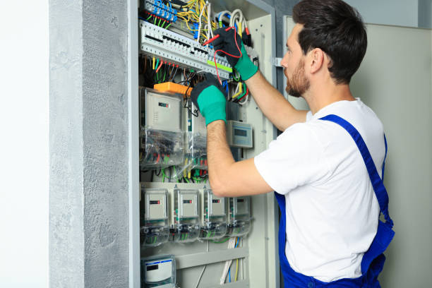 Best Electric Panel Repair  in Indian Lake, MO